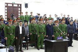 Vụ mua bán AVG: Nữ phó tổng bật khóc, nói không muốn làm khổ cấp dưới
