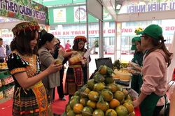 'Tuần lễ cam sành, các sản phẩm OCOP và sản phẩm tiêu biểu tỉnh Hà Giang năm 2019'
