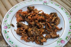 Hãi hùng với món nòng nọc ếch kinh dị của Thái Lan