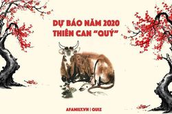 3 con giáp thuộc thiên can này hậu vận như ý cát tường, năm Canh Tý gặp nhiều hung hạn nhưng sớm hóa bình an nhờ phúc phần trời ban