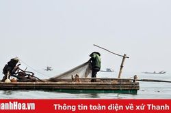 Mùa săn moi biển