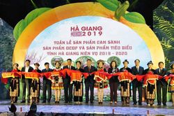 Khai mạc Tuần lễ cam sành, các sản phẩm OCOP tỉnh Hà Giang