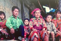 Bức tranh tổng quan mới nhất về dân số và nhà ở tại Việt Nam