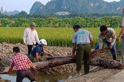 Hành trình phát hiện bãi cọc quý thời Trần hàng nghìn năm tuổi ở Hải Phòng