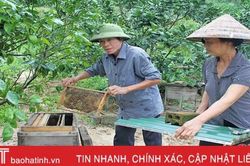 Rời tay súng, cầm cuốc, cầm cày 'chiến đấu' với đói nghèo ở huyện miền núi Hà Tĩnh