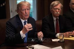 Những nhân vật có thể xoay chuyển phiên luận tội Tổng thống Trump tại Thượng viện