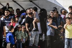 50.000 người di cư từ Idlib đang đổ vào Thổ Nhĩ Kỳ