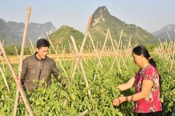 Cao Lầm xây dựng nông thôn mới kiểu mẫu