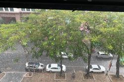 'Cơn mưa vàng' trút xuống Hà Nội, đánh tan bầu không khí mịt mờ khói bụi