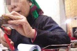 Giật mình chuyện mua bán, nấu cao rùa quanh Vườn Quốc gia Ba Bể
