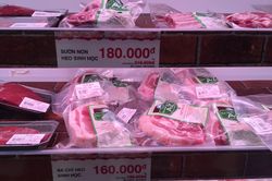Bị Phó Thủ tướng kiểm điểm, Bộ NN-PTNT 'tới tấp' ra văn bản về thịt heo
