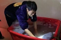 Người đàn ông bỏ số tiền lớn mua con cá mỉm cười với mình và kết...
