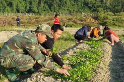 Cùng đồng bào xuống đồng vụ ba
