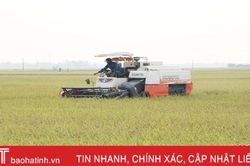 Vụ xuân 2020 ở Hà Tĩnh: Mở đường cho những cánh đồng thẳng cánh cò bay