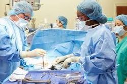 Công nghệ mới giúp thời gian bảo quản cơ quan cấy ghép được nâng lên gấp 4 lần