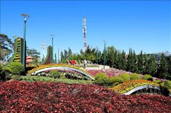 Khai mạc Không gian hoa hồ Xuân Hương