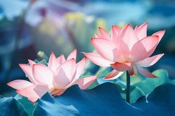 Tiền vào như nước khi đặt 4 loài hoa này trên bàn thờ Thần Tài