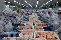 Ngành nông nghiệp nhìn lại một năm vượt khó