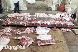 Bắt quả tang cơ sở giết mổ heo lậu tại xã Gia Tân 3