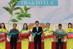 Khai mạc triển lãm trà, tơ lụa và hoa lan Bảo Lộc