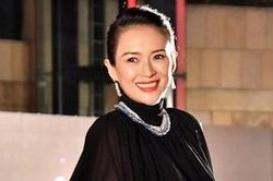 Chương Tử Di chi bộn tiền sang Mỹ sinh con lần 2