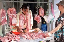 TP HCM nỗ lực bình ổn thị trường thịt lớn từ nay đến Tết Nguyên đán