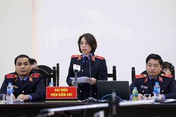 'Bộ trưởng Son đã hám lợi, tha hóa'