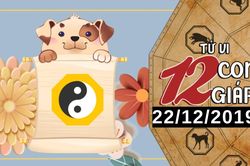 Tử vi chủ nhật ngày 22/12/2019 của 12 con giáp: Tuất dễ vướng thị phi, Thân có quý nhân phù trợ