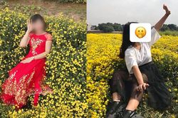 Nằm hẳn lên luống hoa cúc chụp ảnh, cô gái khiến dân mạng 'lắc đầu' ngao ngán: 'Mặc đẹp làm gì khi hành động xấu'