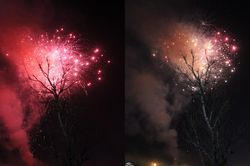 Mai anh đào nở hoa 'có 1 không 2' trong đêm khai mạc Festival hoa Đà Lạt 2019