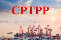 Bức tranh thương mại sau một năm CPTPP có hiệu lực