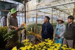 Làng hoa 50 năm tuổi Thái Phiên mở cửa đón khách