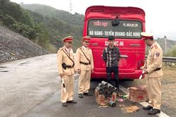 Bắt vụ vận chuyển động vật hoang dã trái pháp luật