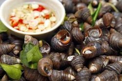 Ốc luộc, món ăn 'gây nghiện'