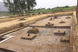 Hải Phòng thông tin về kết quả khai quật di tích bãi cọc Cao Quỳ (huyện Thủy Nguyên)