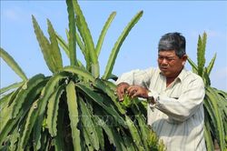Phát huy bản lĩnh người lính Cụ Hồ trên vùng đất khó