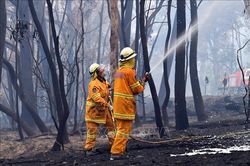 Lực lượng cứu hỏa Australia vẫn đang chạy đua để diệt 'giặc lửa'