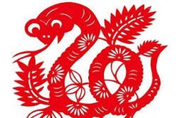 Tuổi Tỵ năm Giáp Tý