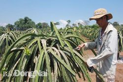 Không làm ngơ với biến đổi khí hậu