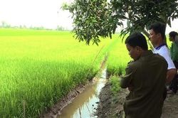 Dùng điện bẫy chuột, chủ nhân 'dính bẫy' tử vong