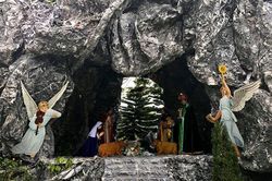 Ngắm những nhà thờ Nam Định trong mùa Giáng sinh