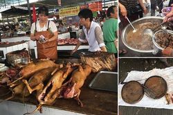 Vụ thịt chó đóng hộp: Không chỉ người Việt, dân các nước cũng mê thịt chó!