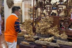 'Đột nhập' căn phòng chứa trầm hương bạc tỷ của nghệ sĩ Hoài Linh