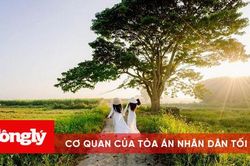 'Mắt biếc' chạm mốc 50 tỷ đồng nhanh nhất lịch sử phim Việt