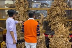 Hoài Linh lần đầu tiết lộ 'căn phòng bí mật' chứa trầm hương bạc tỷ lớn nhất Việt Nam