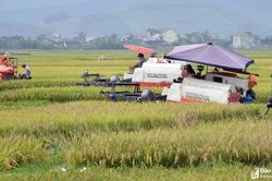 Xây dựng nền nông nghiệp hiện đại, thích ứng với biến đổi khí hậu