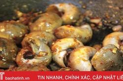 Cay cay ốc mỡ xào sa tế ngậy thơm ấm bụng cho ngày lạnh