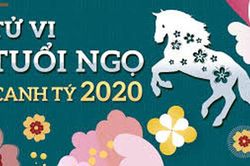 Tuổi Ngọ năm Canh Tý