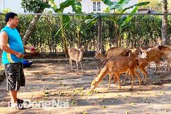 Làng tỷ phú trên vùng chiến khu xưa