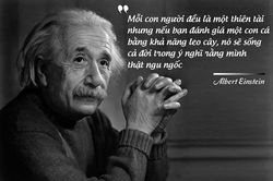 'Mỗi con người đều là một thiên tài'